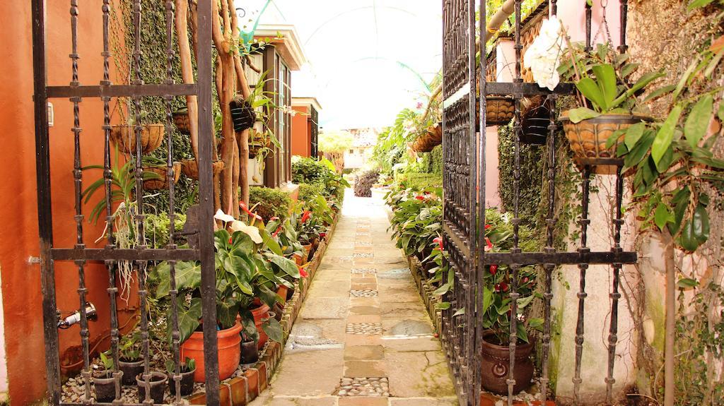 Villa Bonita Les Terrasses クエルナバカ エクステリア 写真